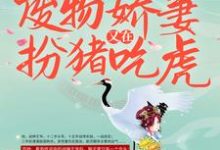 小说《战王接嫁：废物娇妻又在扮猪吃虎》完整版章节免费阅读-雅鱼文学