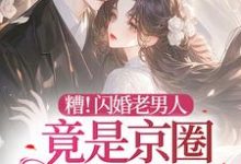 小说《糟！闪婚老男人竟是京圈太子爷》章节免费阅读-雅鱼文学