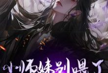 《小师妹别喂了，宗门已无敌！》全集免费在线阅读（钟灵儿白洛辰）-雅鱼文学