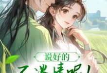 完结版《说好的不谈情呢！王爷请自制》章节阅读-雅鱼文学