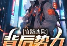 完结版《官路凶险，背后势力怎么除》章节阅读-雅鱼文学