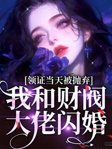 《领证当天被抛弃，我和财阀大佬闪婚》小说章节在线试读，《领证当天被抛弃，我和财阀大佬闪婚》最新章节目录