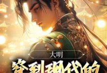 朱雄英小说完整版《大明：穿到现代的朱元璋玩疯了》免费阅读-雅鱼文学