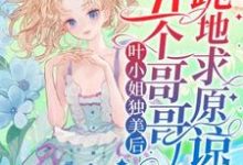 完结版《叶小姐独美后，五个哥哥跪地求原谅》章节阅读-雅鱼文学