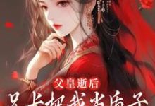 完结版《父皇逝后，兄长把我当质子送去敌国》在线免费阅读-雅鱼文学