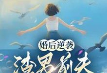 王苗苗苏锦绣小说完整版《婚后逆袭：渣男前夫滚远点！》免费阅读-雅鱼文学