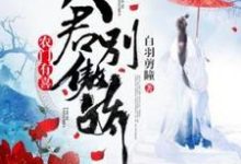 已完结小说《农门有喜：夫君别傲娇》章节在线阅读-雅鱼文学