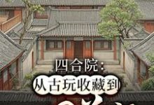 四合院：从古玩收藏到世界首富小说阅读，四合院：从古玩收藏到世界首富完结版-雅鱼文学