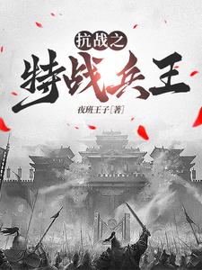 《抗战之特战兵王》小说章节列表免费试读，王海涛小说在线阅读