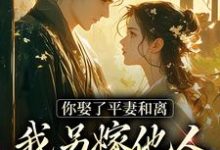 完整版《你娶了平妻和离，我另嫁他人拦什么》小说免费阅读-雅鱼文学